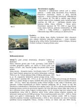 Graikijos ypatybės 7 puslapis