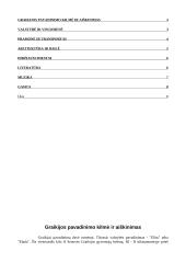 Graikijos visuomenė, pramonė, menas, gamta bei miestai 2 puslapis