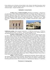 Graikijos visuomenė, pramonė, menas, gamta bei miestai 3 puslapis