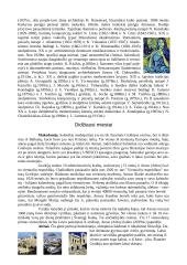 Graikijos visuomenė, pramonė, menas, gamta bei miestai 5 puslapis