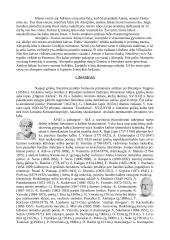 Graikijos visuomenė, pramonė, menas, gamta bei miestai 6 puslapis