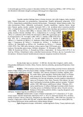 Graikijos visuomenė, pramonė, menas, gamta bei miestai 7 puslapis