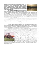 Graikijos visuomenė, pramonė, menas, gamta bei miestai 8 puslapis