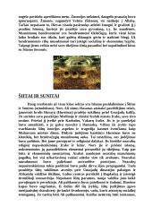 Islamas, Islamas Lietuvoje 3 puslapis