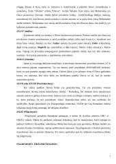 Islamo tiesos 3 puslapis