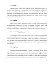 Islamo religija 7 puslapis