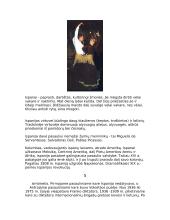 Ispanijos istorija ir geografija 8 puslapis