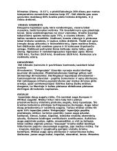 Ispanijos geografinės ypatybės 4 puslapis