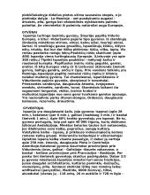 Ispanijos geografinės ypatybės 5 puslapis