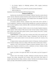 Ispanijos Karalystė ir jos charakteristika 14 puslapis