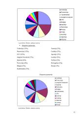 Italijos turizmas 12 puslapis