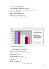 Italijos turizmas 13 puslapis