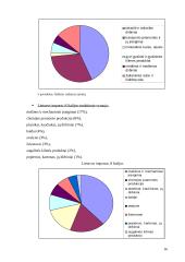 Italijos turizmas 16 puslapis