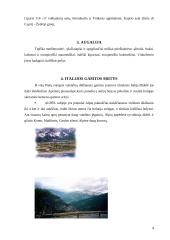 Italijos turizmas 4 puslapis