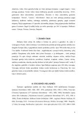 Italijos turizmas 6 puslapis