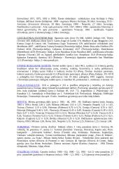 Informacija apie Italiją 2 puslapis