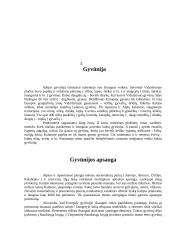 Informacija apie Italiją 5 puslapis