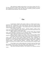 Informacija apie Italiją 9 puslapis