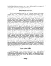 Italija ir jos charakteristika 11 puslapis