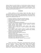 Italija ir jos charakteristika 17 puslapis