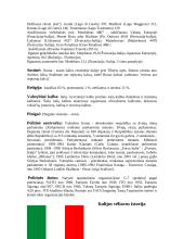 Italija ir jos charakteristika 3 puslapis