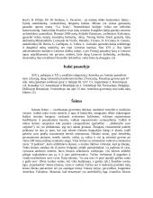 Italija ir jos charakteristika 10 puslapis