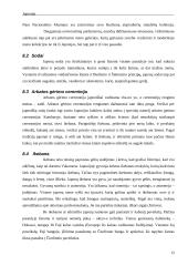 Japonijos imperija 12 puslapis