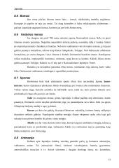 Japonijos imperija 13 puslapis