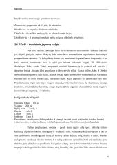 Japonijos imperija 16 puslapis