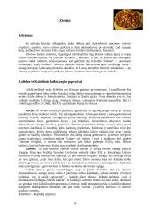 Kalendorinės lietuvių liaudies dainos 4 puslapis