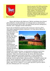 Kauno miesto istorija 3 puslapis