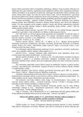 Kernavės istorija 11 puslapis