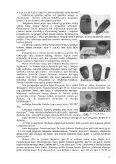 Kernavės istorija 12 puslapis