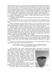 Kernavės istorija 13 puslapis