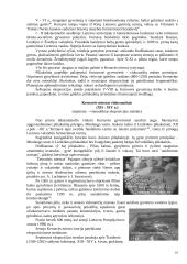 Kernavės istorija 15 puslapis