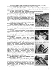 Kernavės istorija 16 puslapis