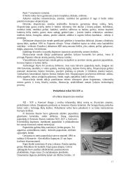 Kernavės istorija 17 puslapis