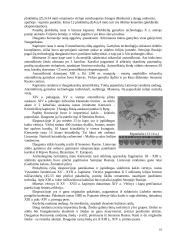 Kernavės istorija 18 puslapis