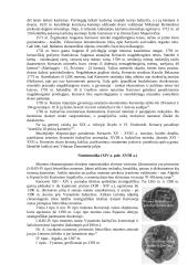 Kernavės istorija 20 puslapis