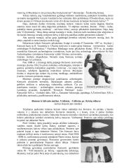 Kernavės istorija 10 puslapis