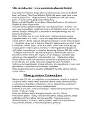 Kinijos geografinės ypatybės 4 puslapis