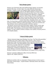 Kinijos geografinės ypatybės 5 puslapis