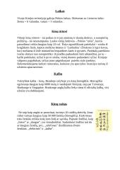 Kinijos geografinės ypatybės 6 puslapis