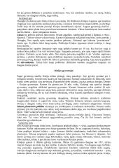 Kinijos geografija 4 puslapis