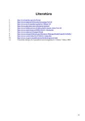 Kinijos Liaudies Respublika bei jos charakteristika 14 puslapis