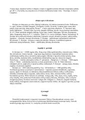 Kinija ir Kinijos kultūra 4 puslapis