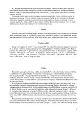 Kinija ir Kinijos kultūra 5 puslapis