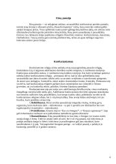 Kinijos kultūra ir tradicijos 4 puslapis