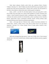 Kipro Respublika 5 puslapis