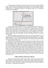 Klimato atšilimas 2 puslapis